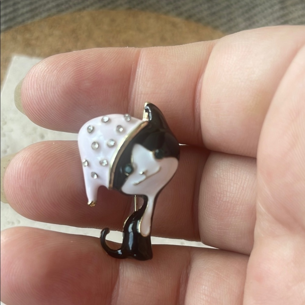 Anthropologie Black and Pink Brooch